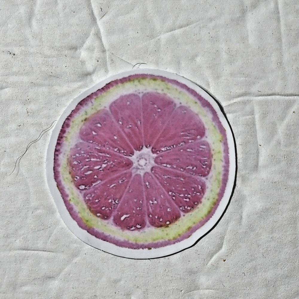 Half a Grapefruit Round Sticker Pink Yellow Citrus Fruit Decal 2x2 Inch
